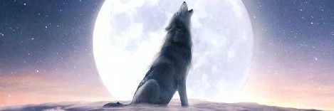 Expected_Truth's profile banner image