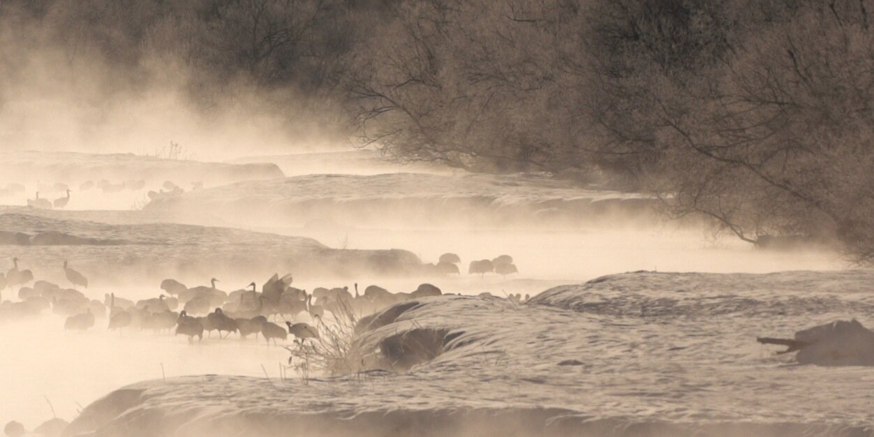 mamtara's profile banner image
