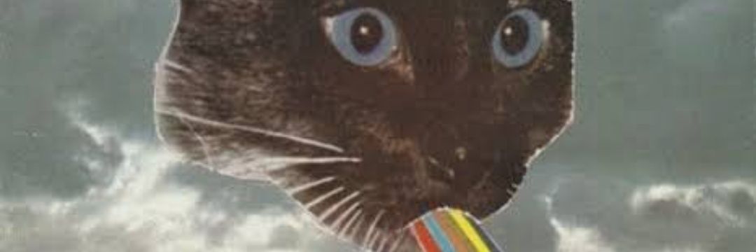 aitzza's profile banner image