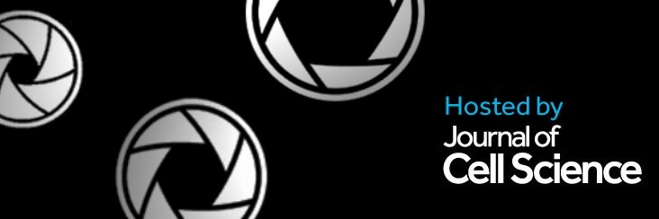 FocalPlane's banner