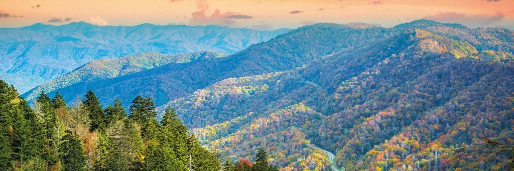 mountain feller banner