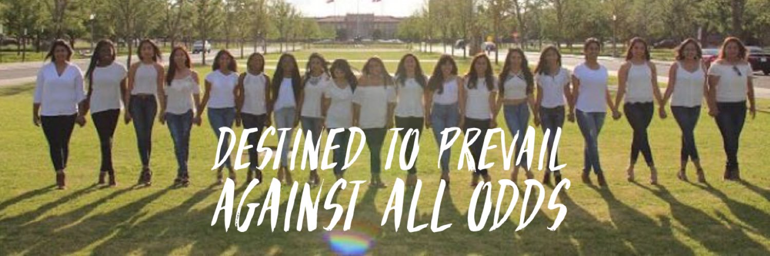 ΔΦΩ Ŧexas Ŧech banner