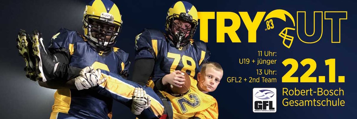 Hildesheim Invaders banner