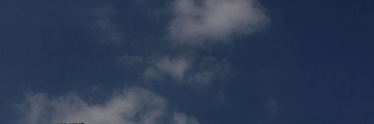 puvinz banner
