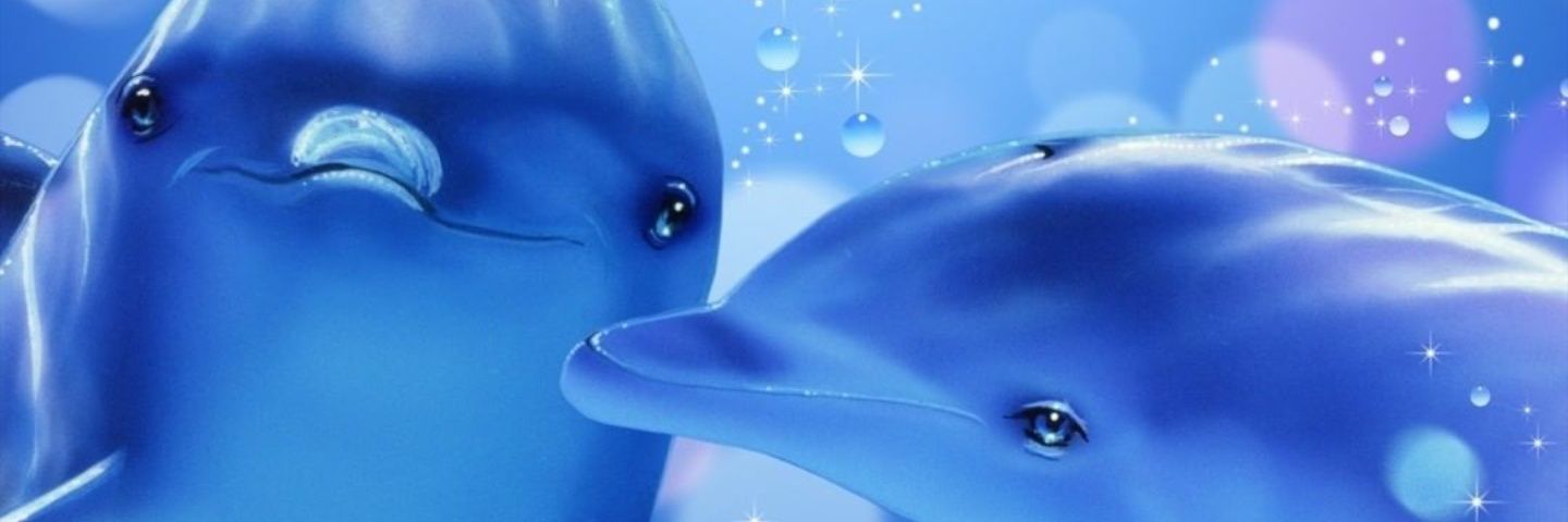 naotopic's profile banner image