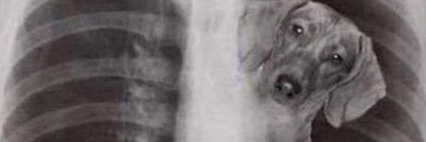 2xprince_ Profile Banner