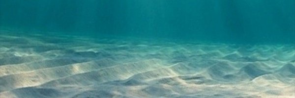 AriaBedmar Profile Banner