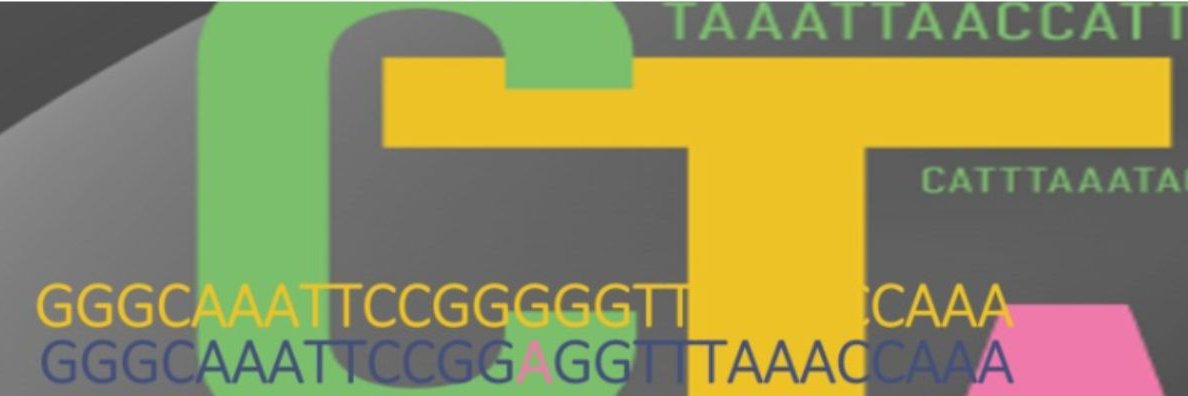 nemoxqa's profile banner image