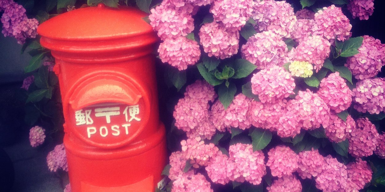 まれーぱみゅ banner