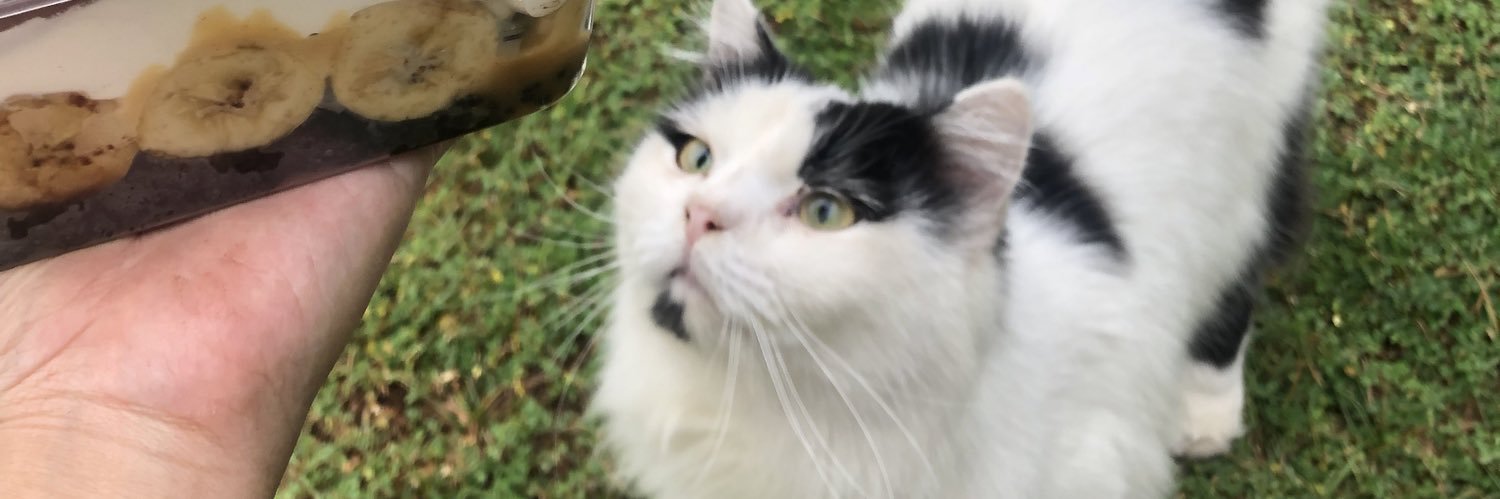 GingerKhin9's profile banner image