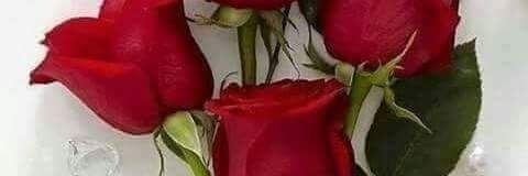 faiz353578's profile banner image