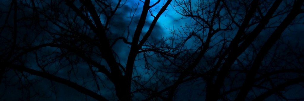 Bella Bellezza banner