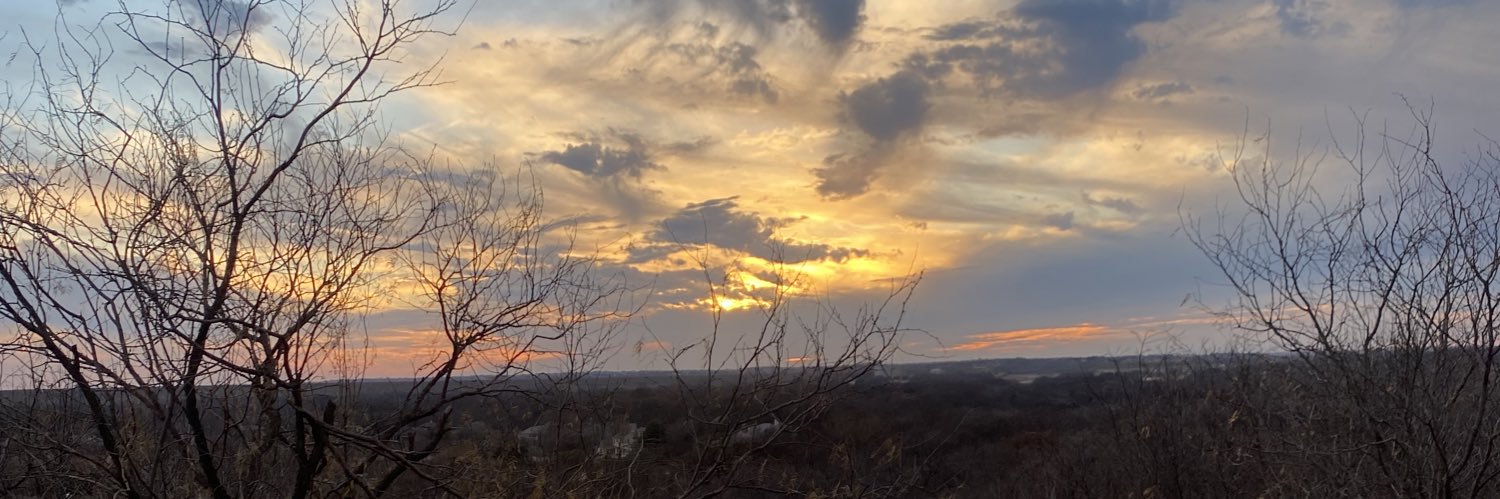 Stone Sullivan banner