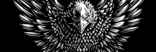 excluded_Pro Profile Banner