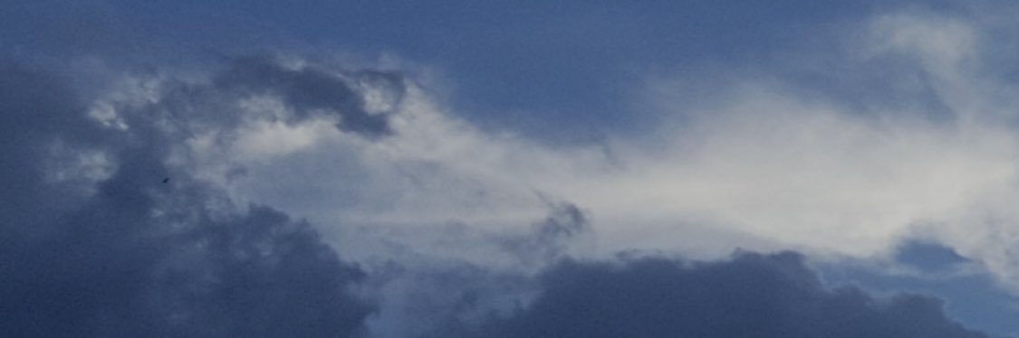 Orange Andy banner