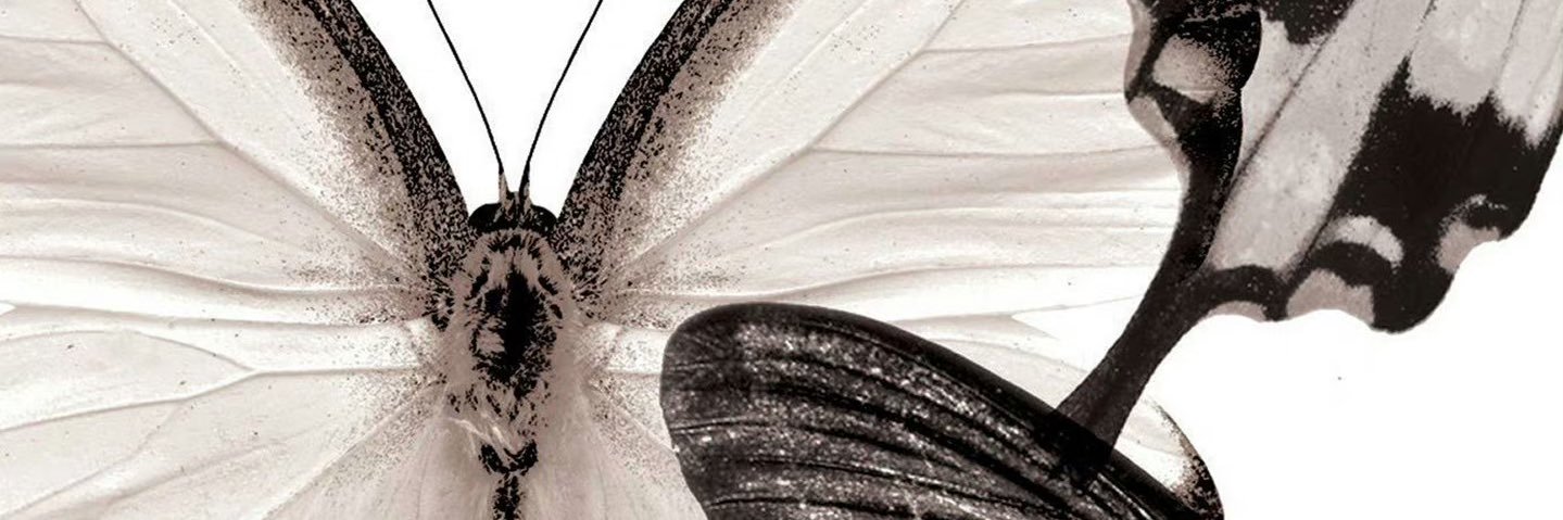 PureDaddy_xx's profile banner image