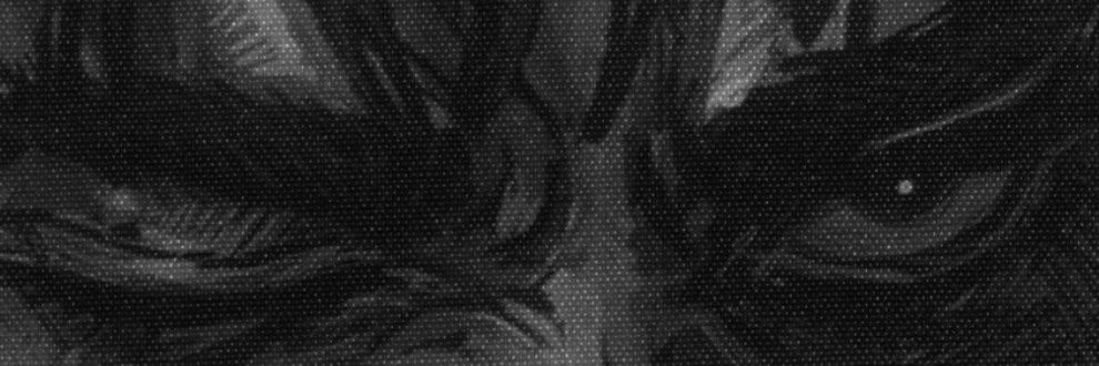 Skar'Zix banner