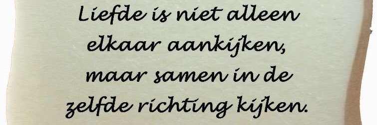 Maaike van Heerde banner