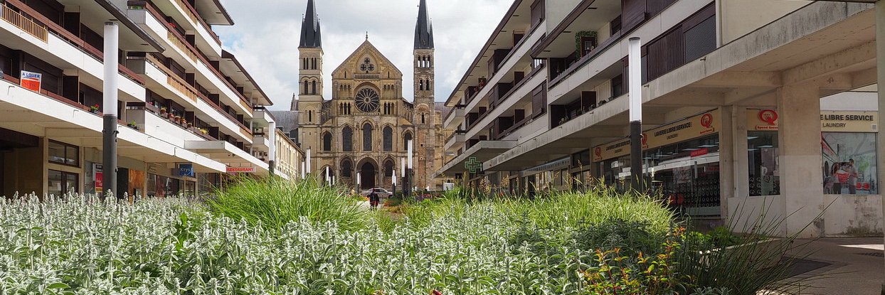 Mireille RUINART banner