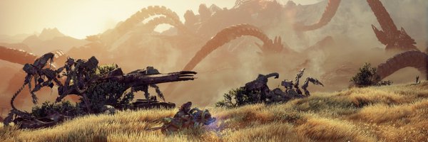 dejongemathijs Profile Banner