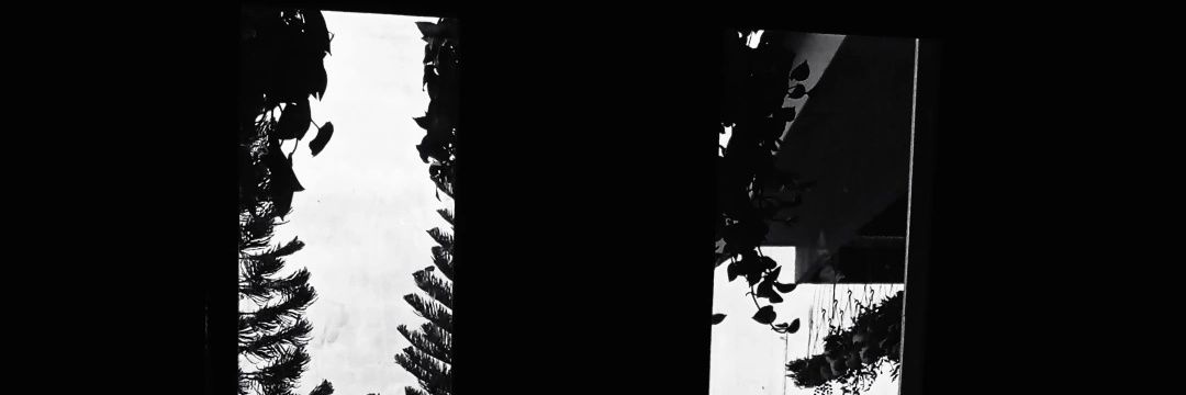 bebsq_ banner