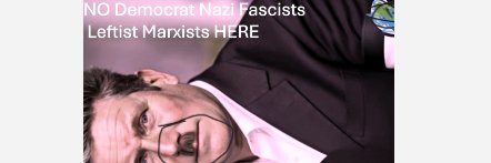 Democrats hitler nazis socialist leftist banner