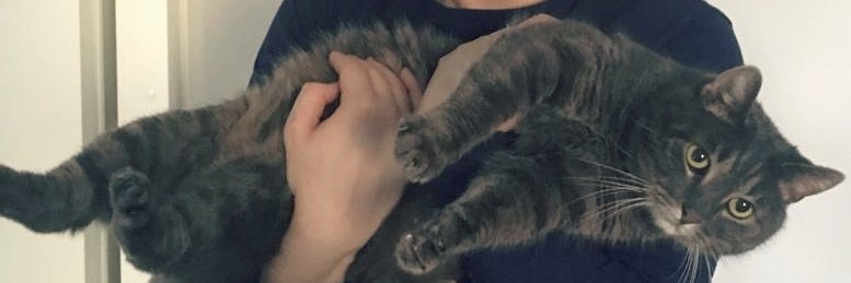 T banner