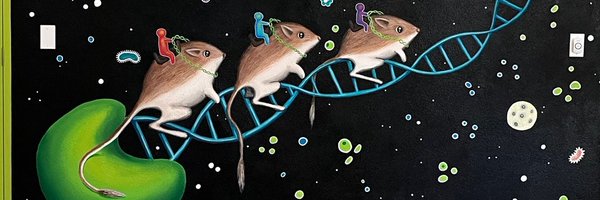 GroupLeconte Profile Banner