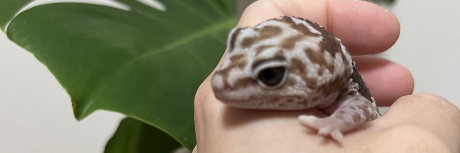 kuminbo's profile banner image