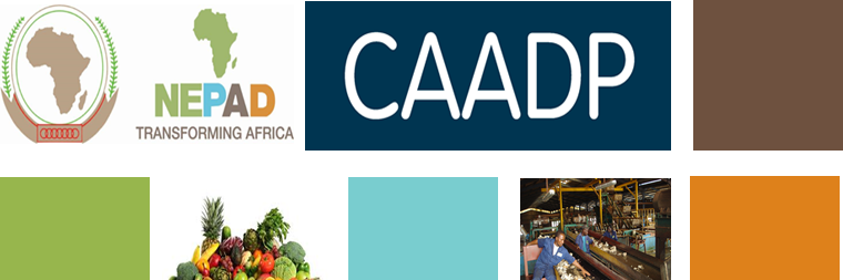 CAADP banner