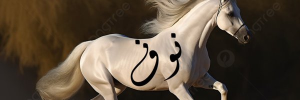 nouf_ota Profile Banner