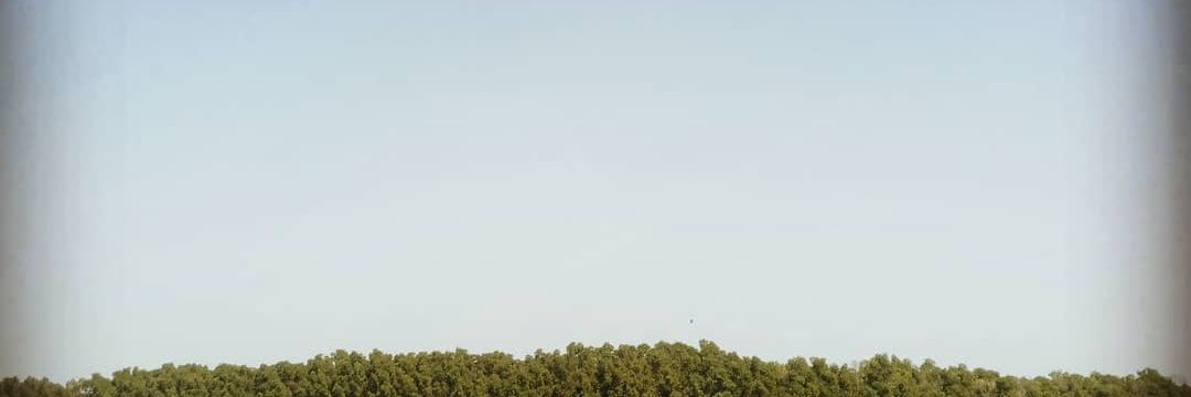 alexandrenthp's profile banner image
