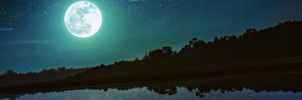 Thekidcraig1 Profile Banner