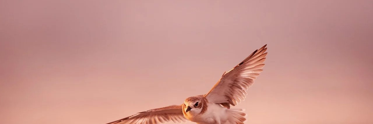 JakeLinney1's profile banner image