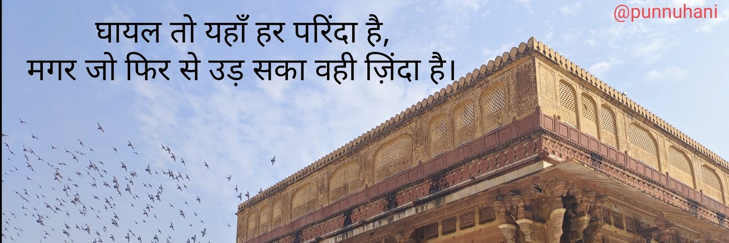 punnuhani's profile banner image