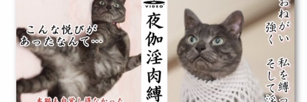 poo_chitch Profile Banner