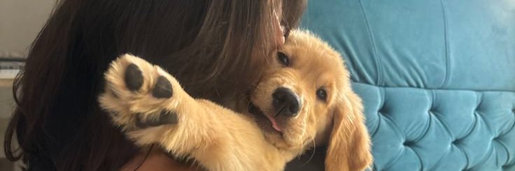 Pet Life Support 🐾🩺 banner