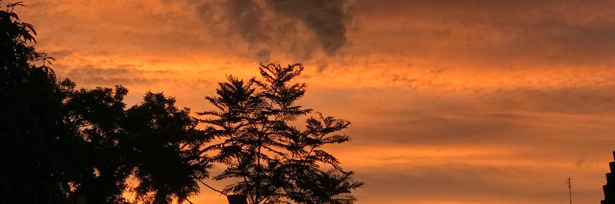 Melanii005's profile banner image