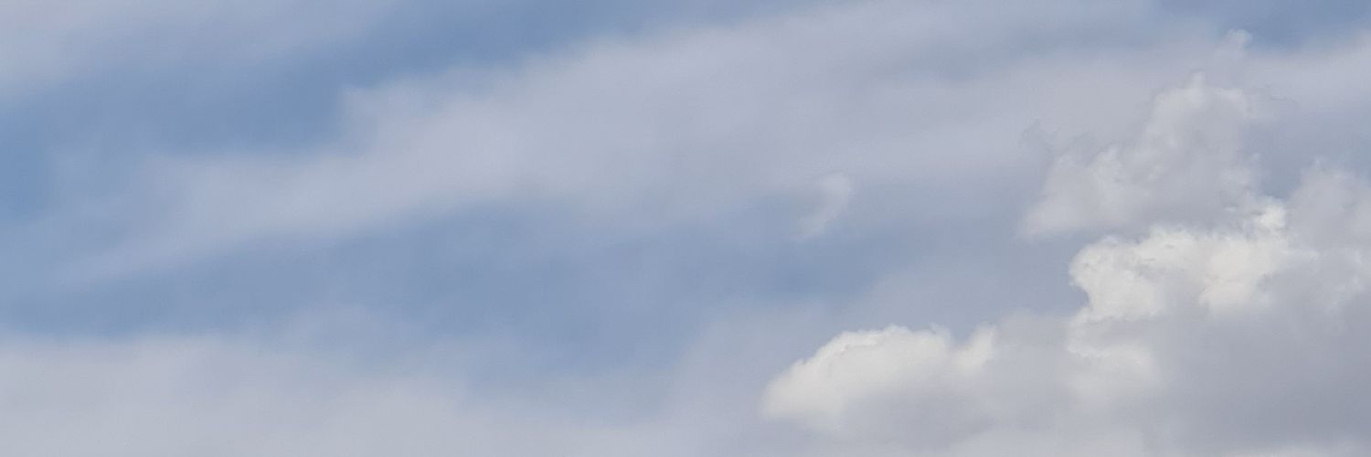 pazos_vale's profile banner image
