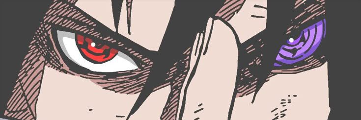 xel banner