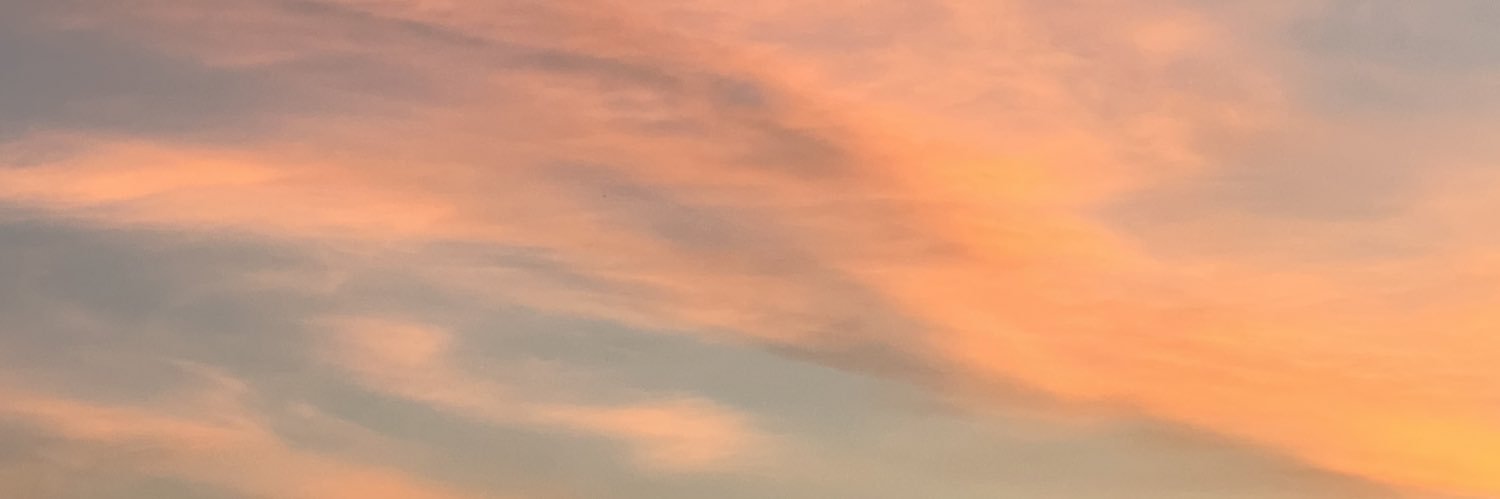 Weavalar's profile banner image