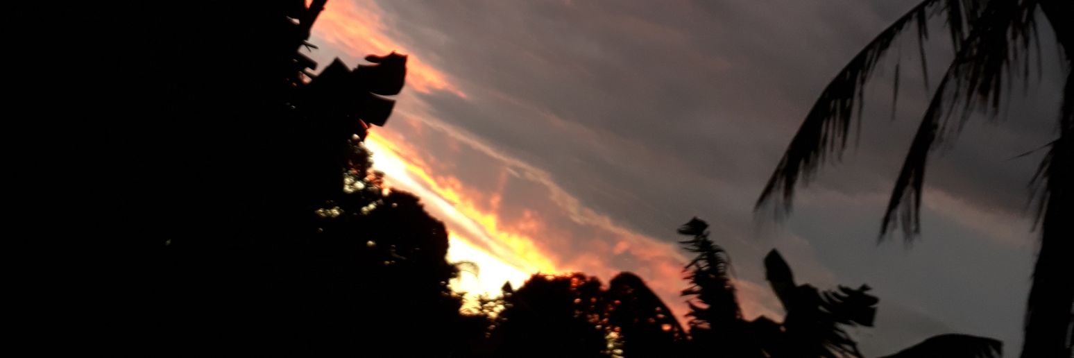 Ma_APS_d_Vs's profile banner image