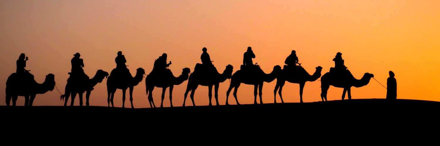 Matheus Zanon, MD, MSc banner