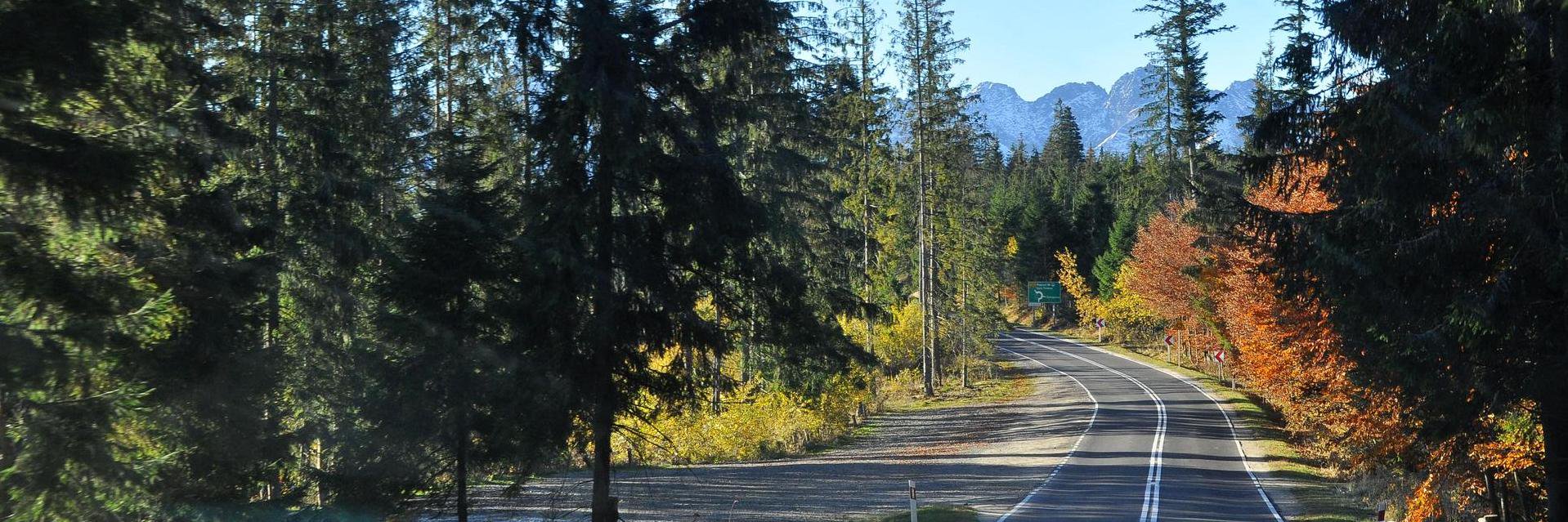 Andy Kasprzyk 💖 🧠 📚 banner