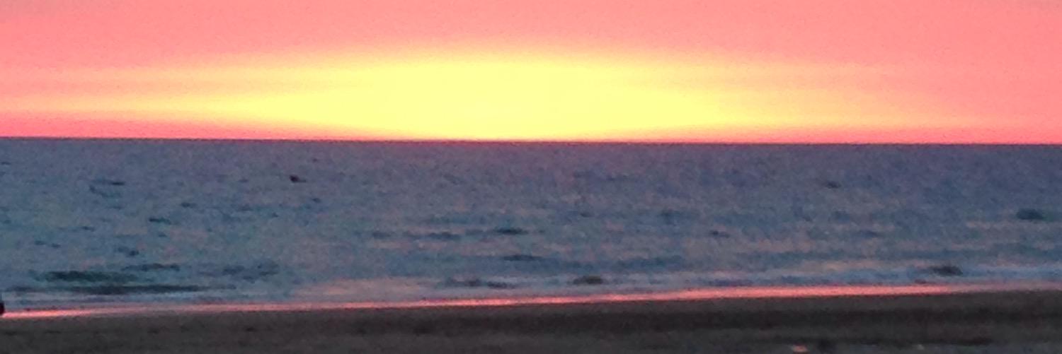 Esther Álvarez Rodríguez banner