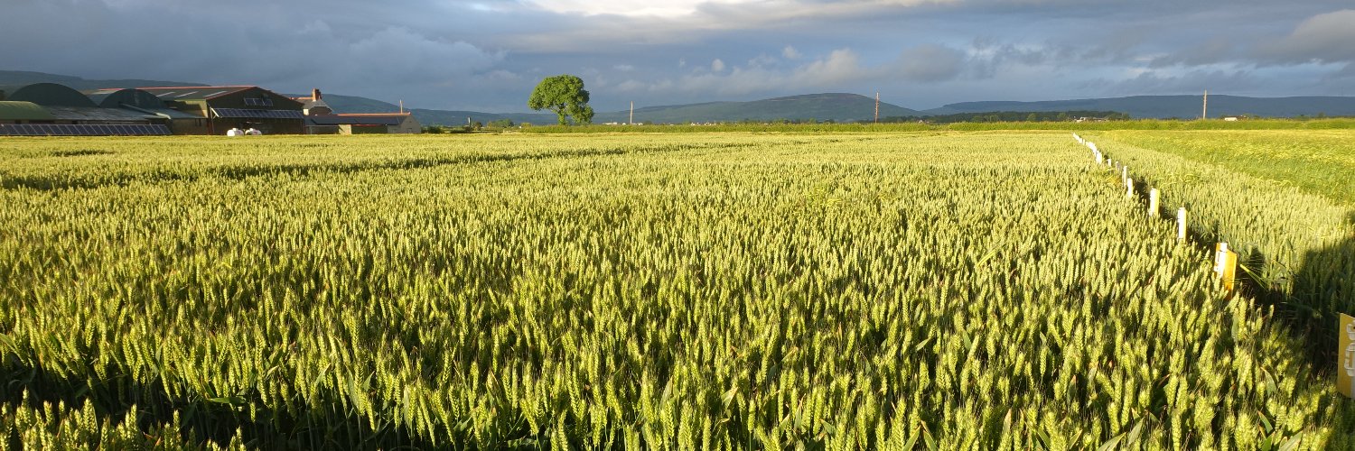 Aphid Monitoring in Northern Ireland banner
