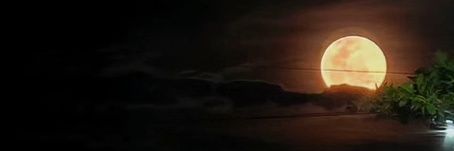 ruthnncontrera's profile banner image