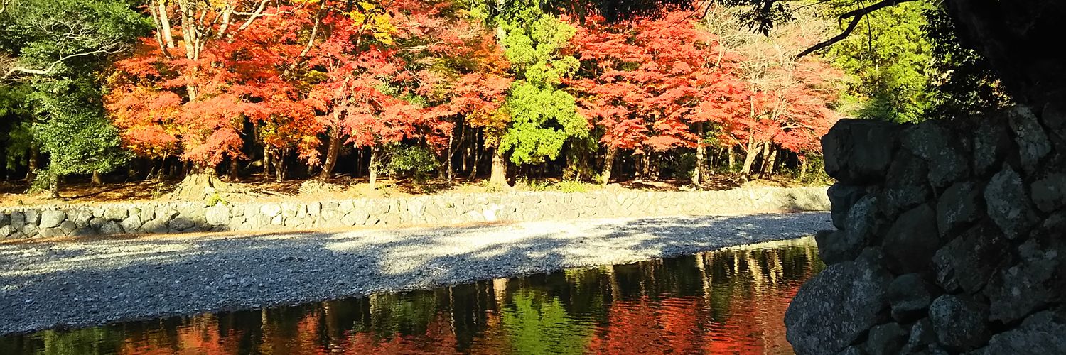 daikou123's profile banner image