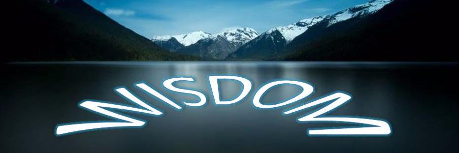 Wisdom_Birds's profile banner image