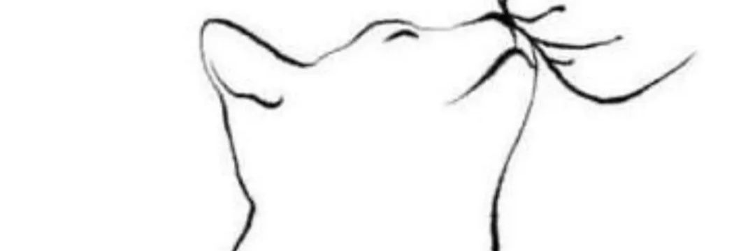 Suabuin's profile banner image